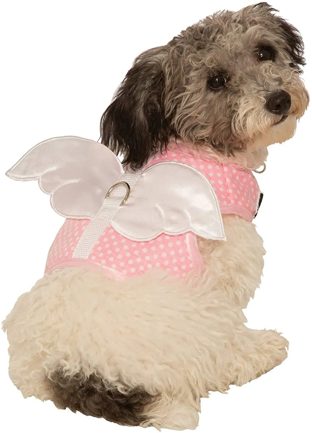 Fairy/Angel Harness Pet Costume